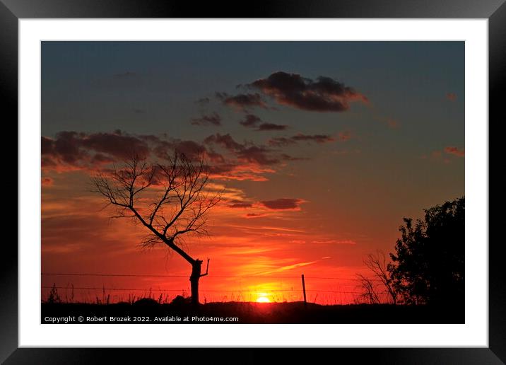 Sky and tree silhouette at sunset Framed Mounted Print by Robert Brozek