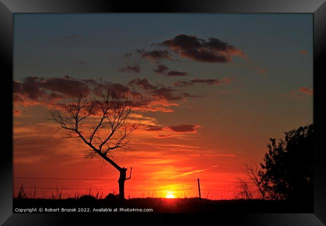 Sky and tree silhouette at sunset Framed Print by Robert Brozek