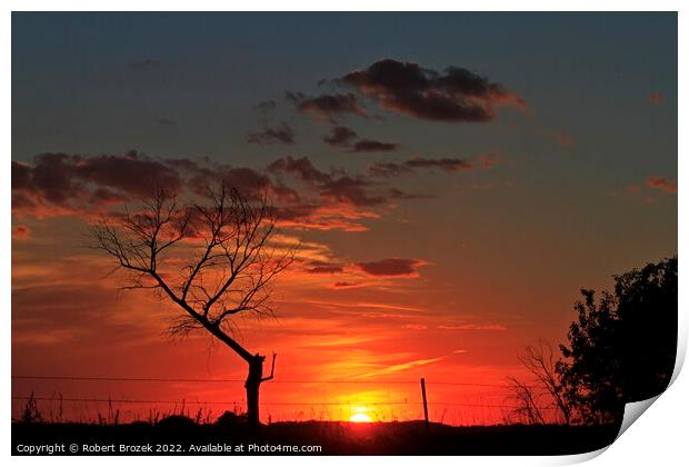 Sky and tree silhouette at sunset Print by Robert Brozek
