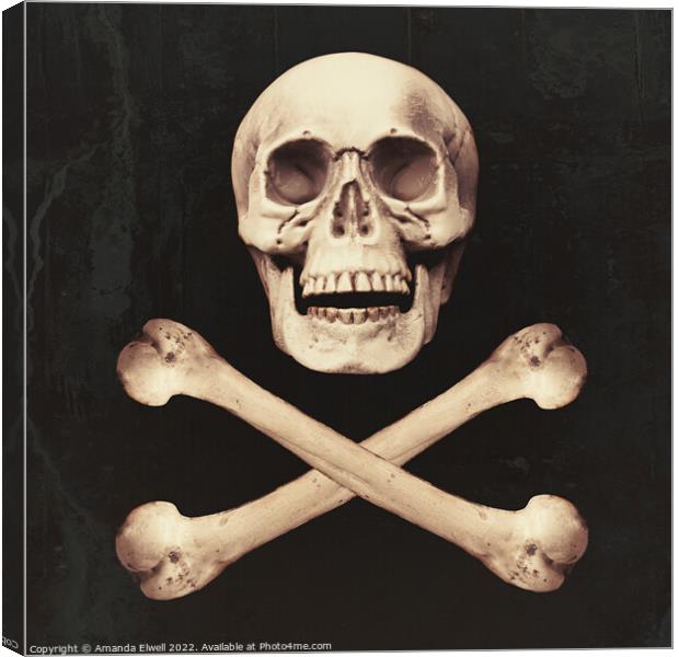 Skull & Crossbones Canvas Print by Amanda Elwell