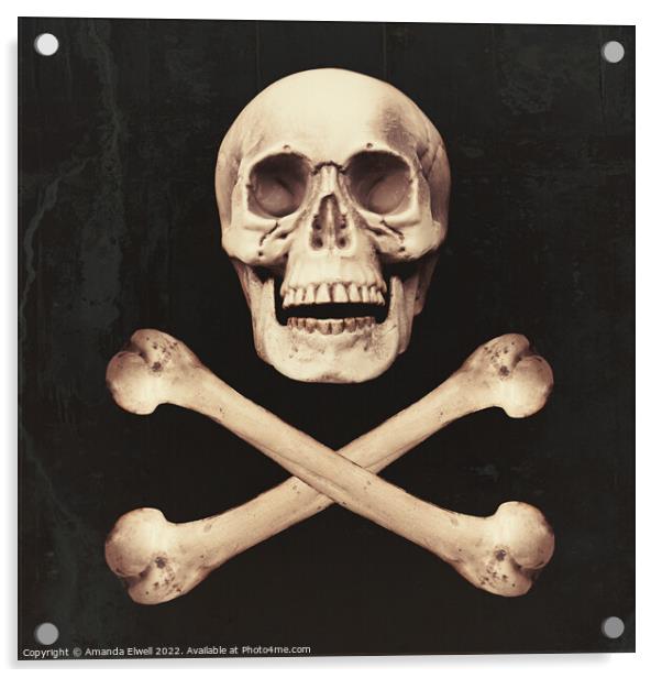 Skull & Crossbones Acrylic by Amanda Elwell