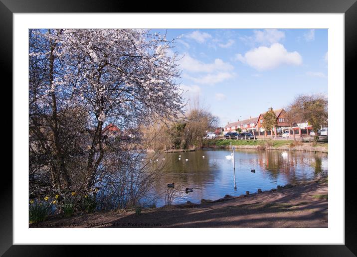 West Ham village, East Sussex Framed Mounted Print by Sally Wallis