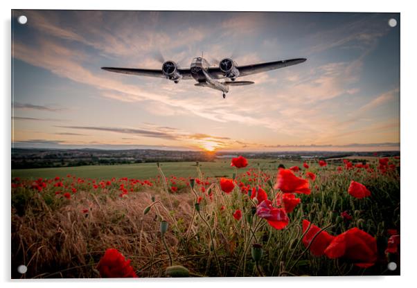 Blenheim Poppy Fly Over Acrylic by J Biggadike