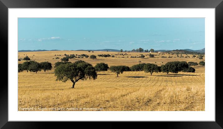 Alentejo golden fields and Trees in Portugal Framed Mounted Print by Angelo DeVal