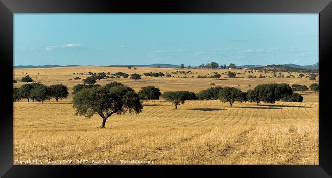Alentejo golden fields and Trees in Portugal Framed Print by Angelo DeVal