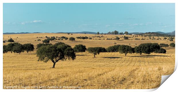 Alentejo golden fields and Trees in Portugal Print by Angelo DeVal