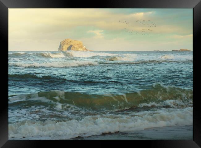 Bass Rock  Framed Print by Anthony McGeever