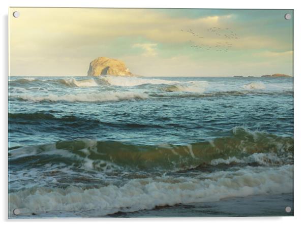 Bass Rock  Acrylic by Anthony McGeever