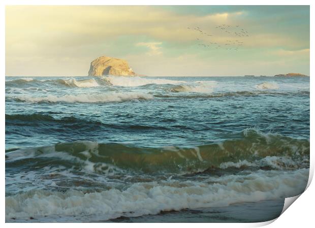 Bass Rock  Print by Anthony McGeever