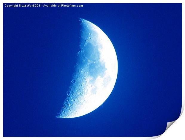 Once in a Blue Moon Print by Liz Ward
