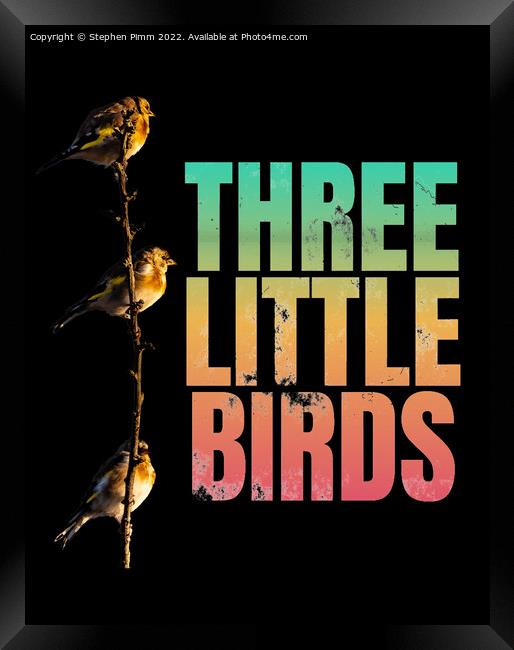 Three Little Birds Framed Print by Stephen Pimm