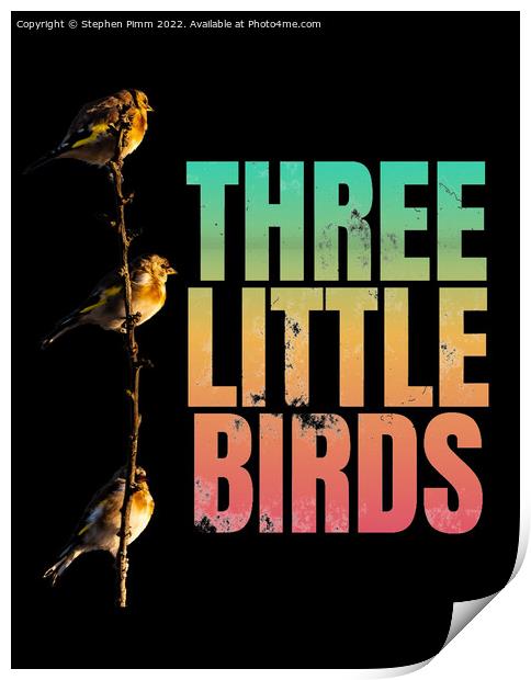 Three Little Birds Print by Stephen Pimm