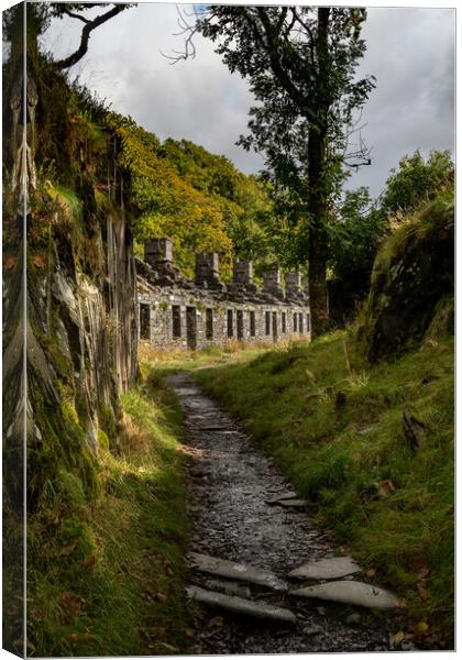 Anglesey Barracks, Dinorwig Quarry Canvas Print by Liam Neon