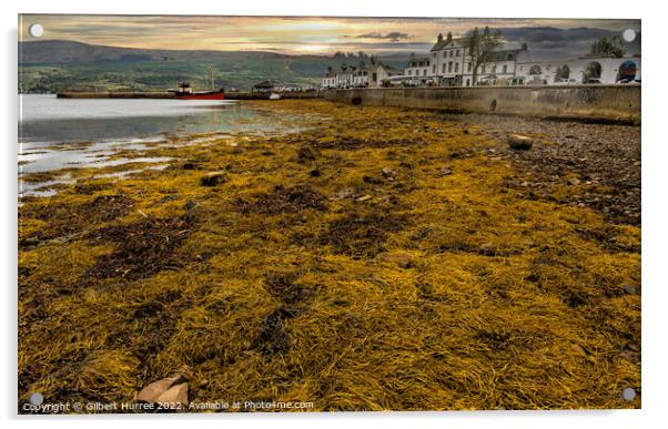 Breath-taking Serenity of Low-Tide Loch Fyne Acrylic by Gilbert Hurree
