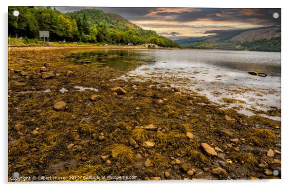Serene Tranquillity of Inveraray, Loch Fyne Acrylic by Gilbert Hurree
