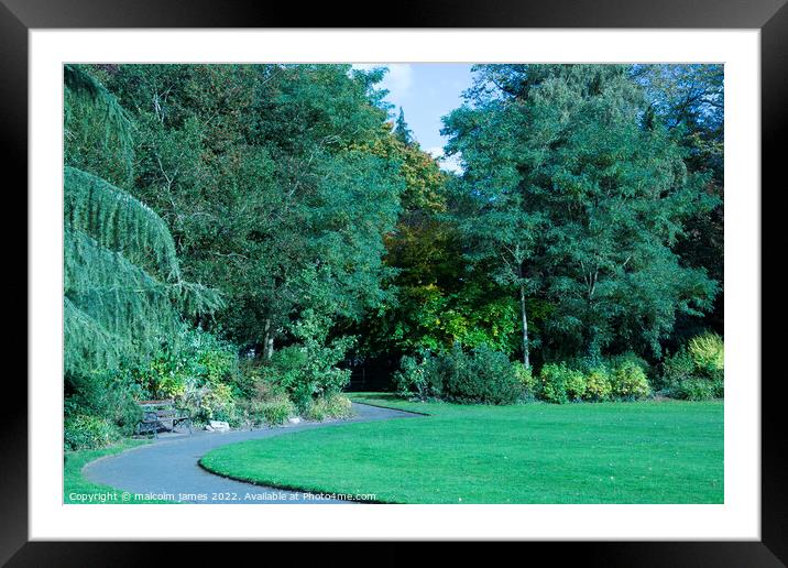 A Path to where Framed Mounted Print by malcolm james