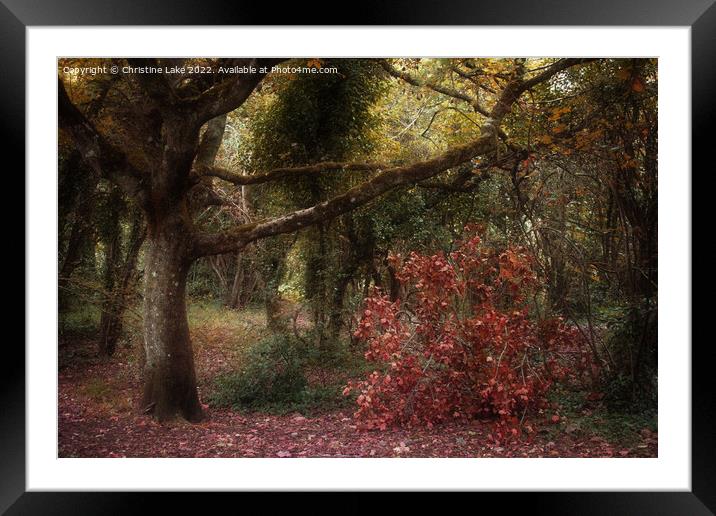 Autumn Colours Framed Mounted Print by Christine Lake