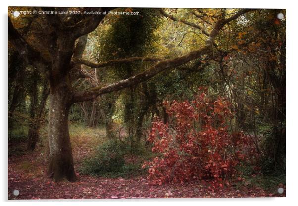 Autumn Colours Acrylic by Christine Lake