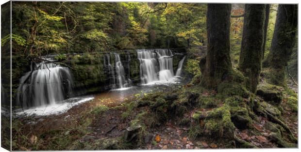 Autumnal Waterfall  Canvas Print by Colin Duffy