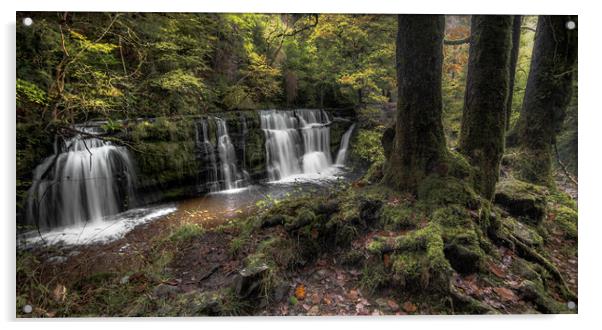 Autumnal Waterfall  Acrylic by Colin Duffy