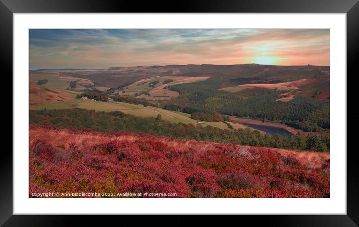 Over the reservoir in the national park Framed Mounted Print by Ann Biddlecombe