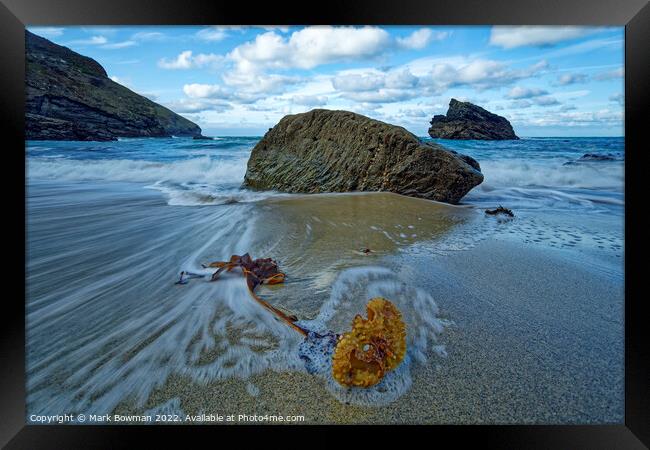 Seaweed at Portheras Cove Framed Print by Mark Bowman