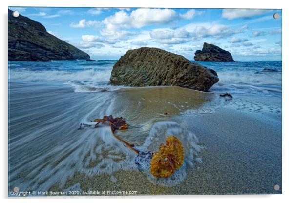Seaweed at Portheras Cove Acrylic by Mark Bowman