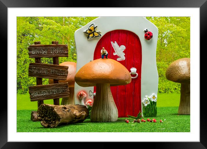 Enchanted Mushroom Hunt Framed Mounted Print by Steve Purnell