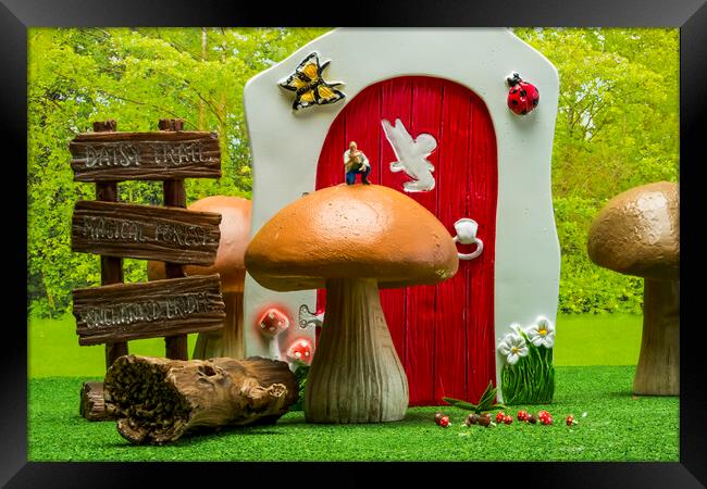 Enchanted Mushroom Hunt Framed Print by Steve Purnell