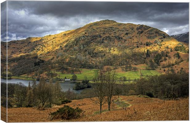 Rydal Water and Nab Scar Canvas Print by Tom Gomez