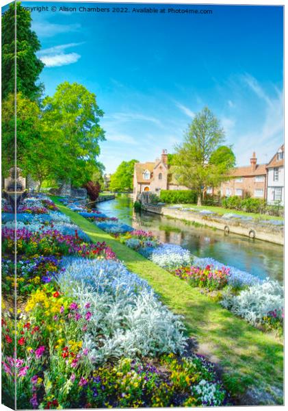 Canterbury Westgate Gardens  Canvas Print by Alison Chambers