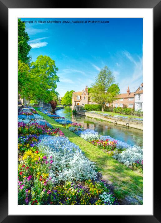 Canterbury Westgate Gardens  Framed Mounted Print by Alison Chambers