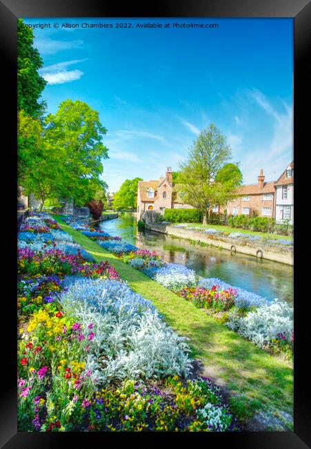 Canterbury Westgate Gardens  Framed Print by Alison Chambers
