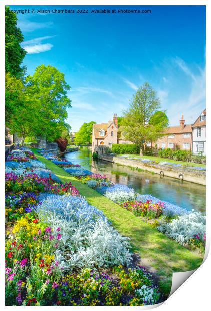 Canterbury Westgate Gardens  Print by Alison Chambers