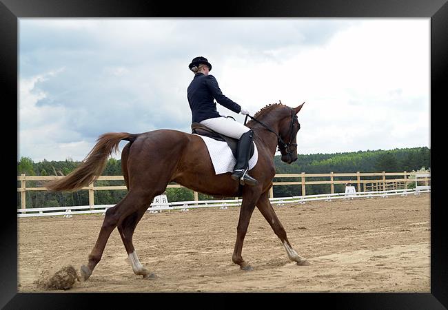 Horse riding Framed Print by Stanislovas Kairys