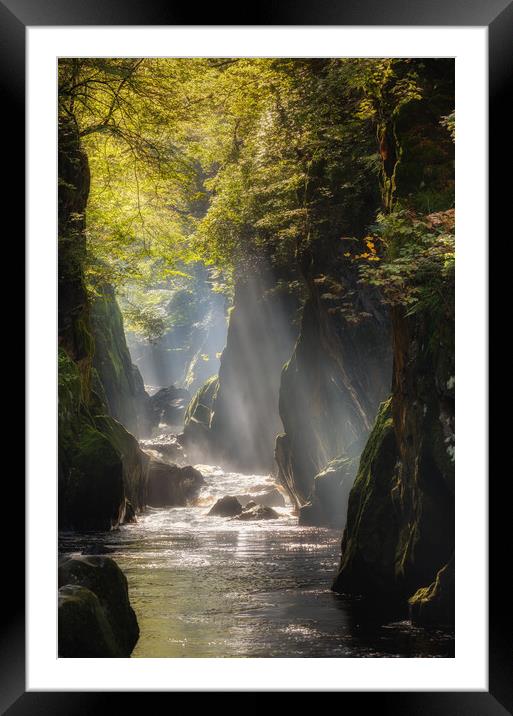 Fairy Glen at Betws y Coed Framed Mounted Print by Rory Trappe