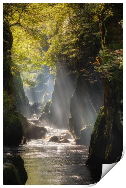 Fairy Glen at Betws y Coed Print by Rory Trappe