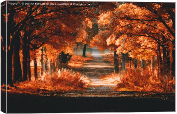 Autumn trees  in rivington Canvas Print by Derrick Fox Lomax