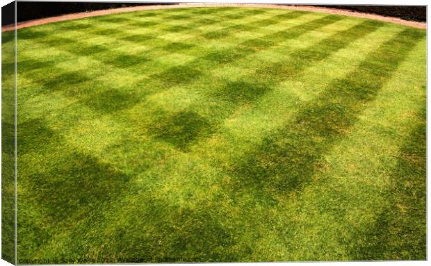 Lawn mowed in a pattern Canvas Print by Sally Wallis