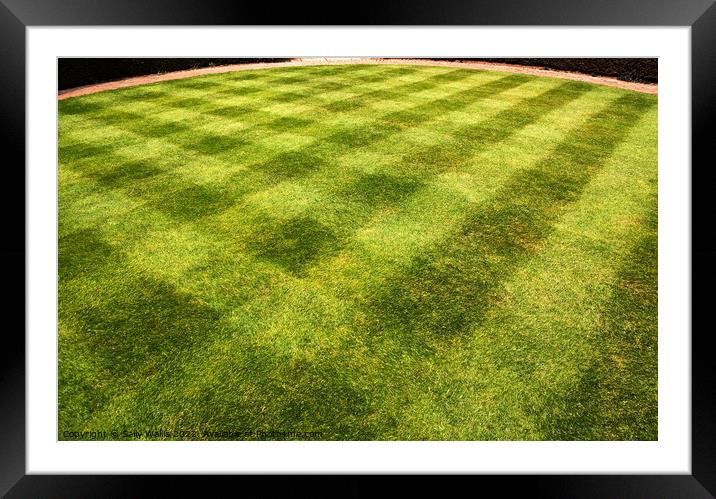 Lawn mowed in a pattern Framed Mounted Print by Sally Wallis