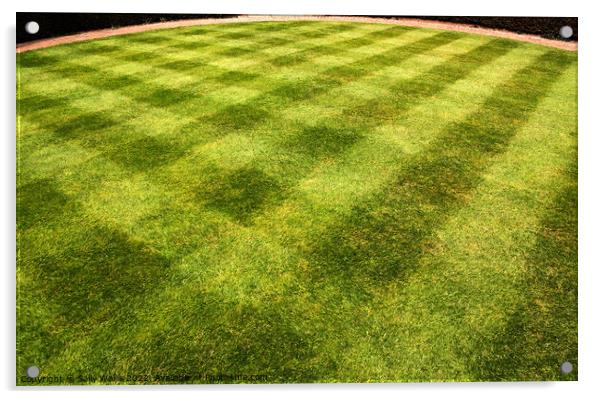 Lawn mowed in a pattern Acrylic by Sally Wallis