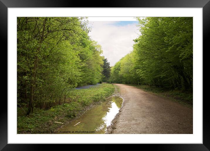 Floods by woodland trail Framed Mounted Print by Sally Wallis
