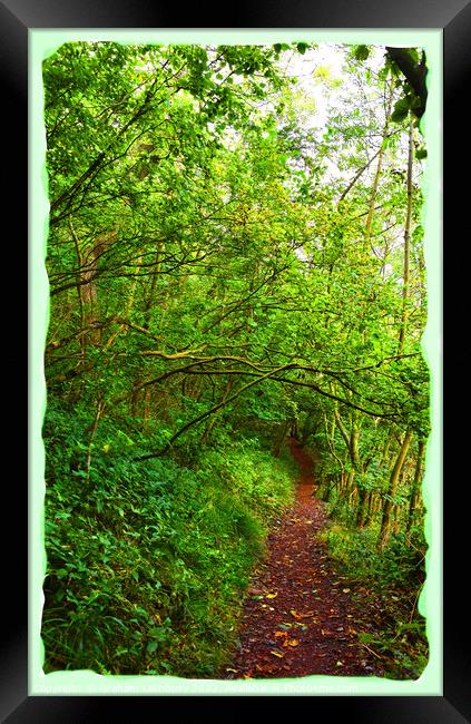 The Road Less Travelled - Peak District Framed Print by Graham Lathbury