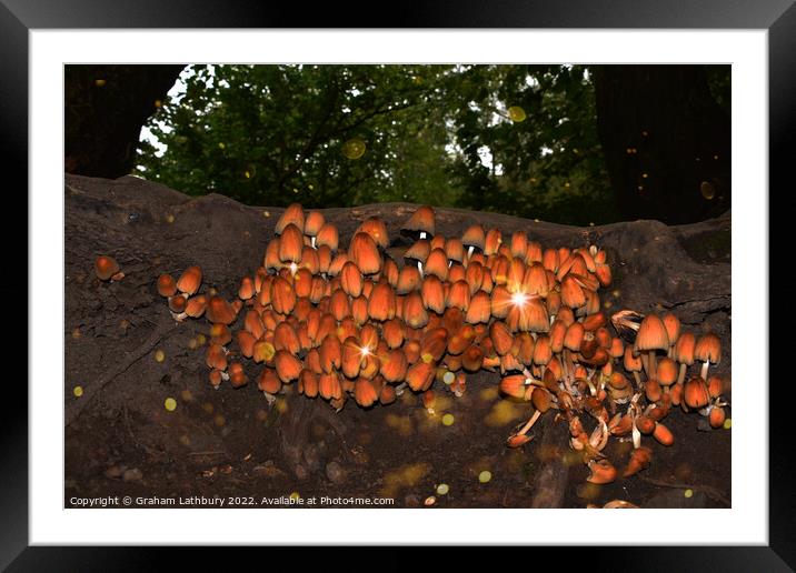 Wild Forest Mushrooms Framed Mounted Print by Graham Lathbury