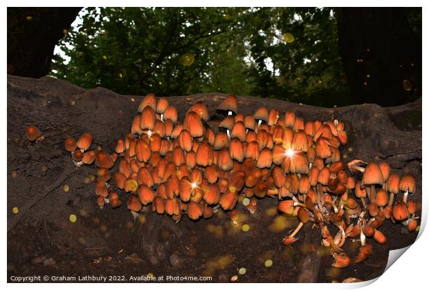 Wild Forest Mushrooms Print by Graham Lathbury
