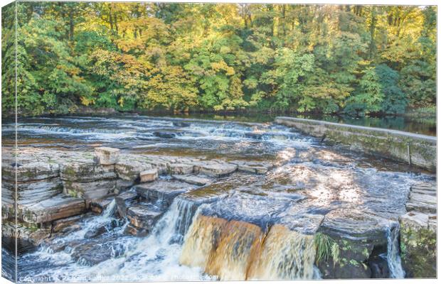 The Falls on the River Swale at Richmond Canvas Print by Richard Laidler