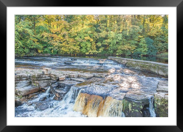 The Falls on the River Swale at Richmond Framed Mounted Print by Richard Laidler