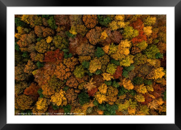 Trees from Above Framed Mounted Print by Chris Gurton