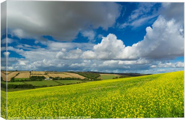 The colourful Yorkshire Wolds next to Millington and Pocklington  810 Canvas Print by PHILIP CHALK