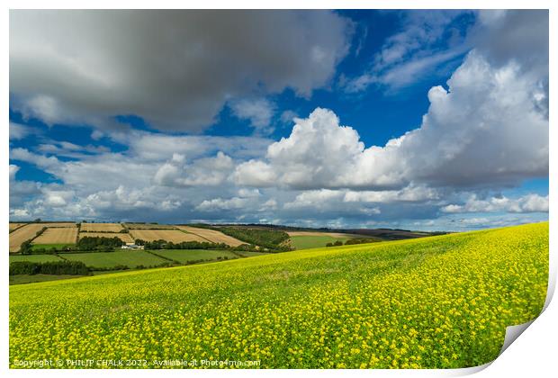 The colourful Yorkshire Wolds next to Millington and Pocklington  810 Print by PHILIP CHALK